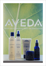 Aveda strukturiertes & kräftiges Haar